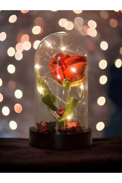 Fanusta Led Işıklı Kırmızı Yapay Gül Sevgiliye Özel Dekoratif Hediye Sevgililer Günü ürün görseli 1