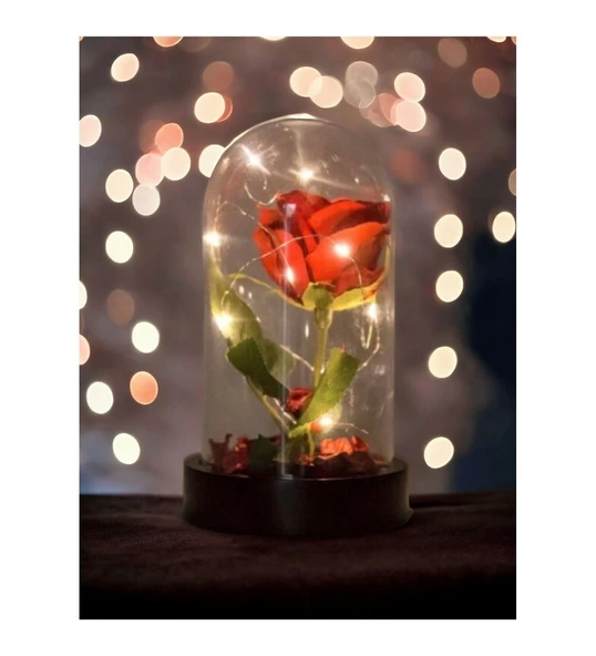 Sevgiliye Eşe Özel Günlere Hediye Seti Fanusta Işıklı Kırmızı Gül Kolye Seti Şeffaf Mika Fanus Hediye - Resim 2