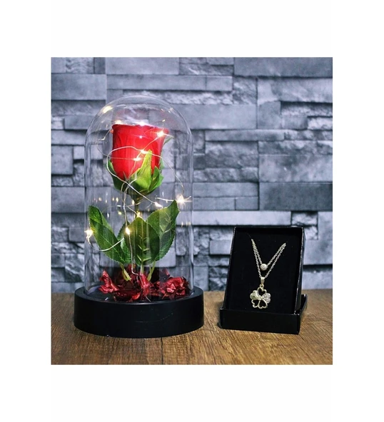 Sevgiliye Eşe Özel Günlere Hediye Seti Fanusta Işıklı Kırmızı Gül Kolye Seti Şeffaf Mika Fanus Hediye ürün görseli