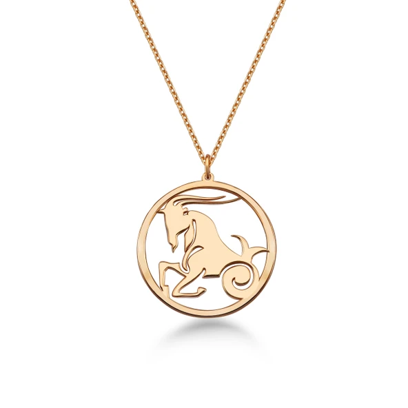 Çember Oğlak Burcu Gümüş Kolye - Rose ürün görseli 1