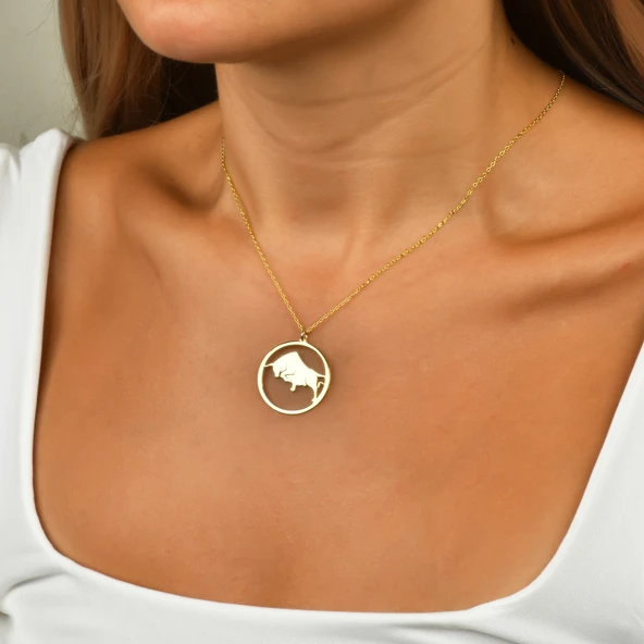 Çember Boğa Burcu Gümüş Kolye - Gümüş - Resim 2