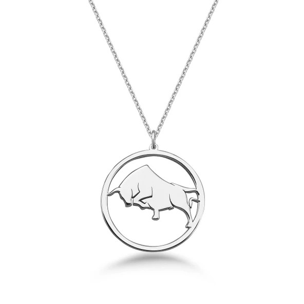 Çember Boğa Burcu Gümüş Kolye - Gümüş ürün görseli 1