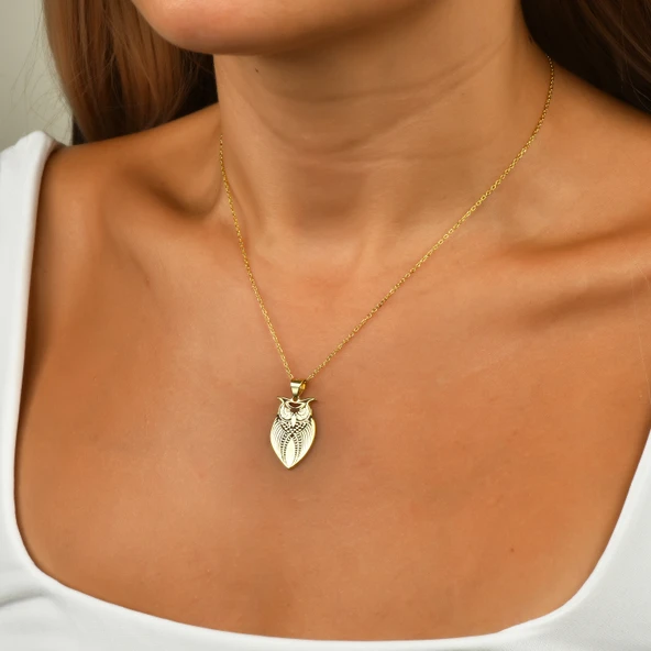 Gümüş Baykuş Kolye - Rose - Resim 2