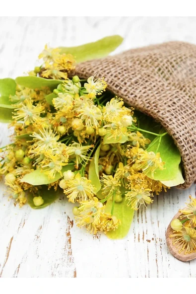 Ihlamur 100 gr - Resim 5