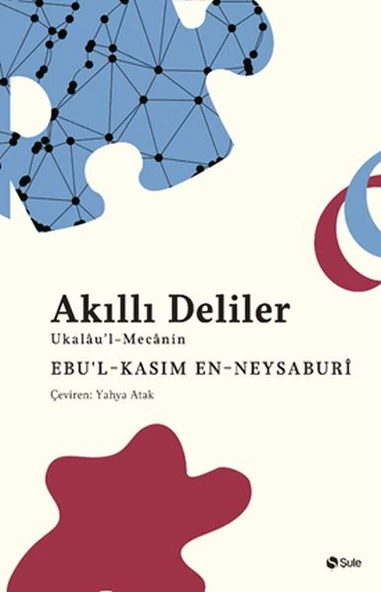 Akıllı Deliler Kitabı ürün görseli