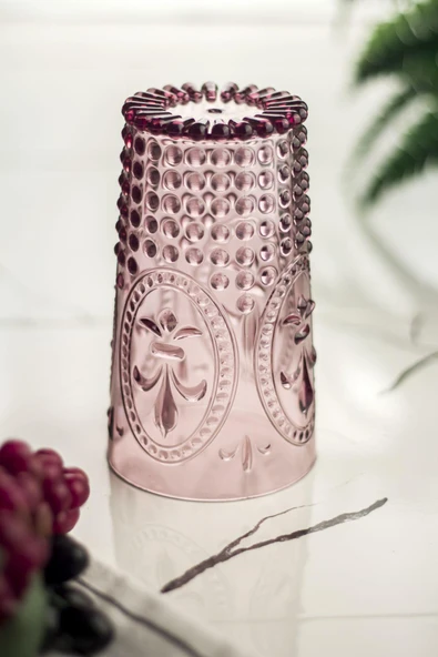 Akrilik Mürdüm 6'lı Uzun Bardak & Su Meşrubat Bardağı 750 ml ( Büyük Boy & Cam Değildir ) - Resim 3