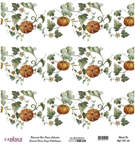 Cadence Evrensel Pirinç Dekopaj Kağıdı - UC-178 ürün görseli