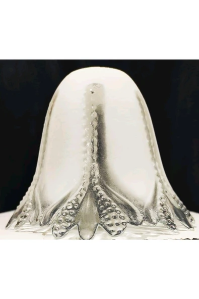 Avize Camı ürün görseli