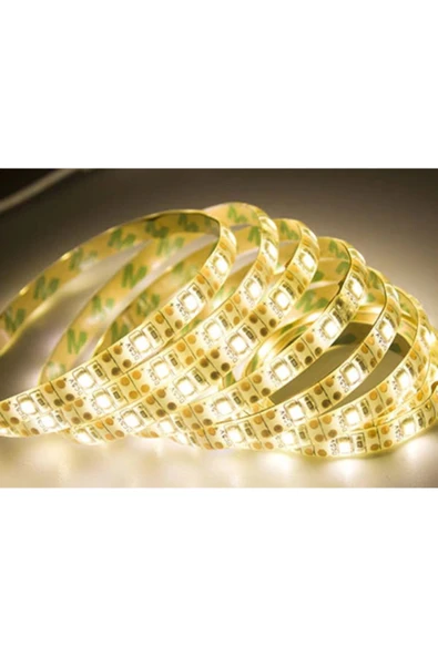 Dış Mekan Silikonlu Günışığı Şerit Led Ct-4488 ürün görseli 1