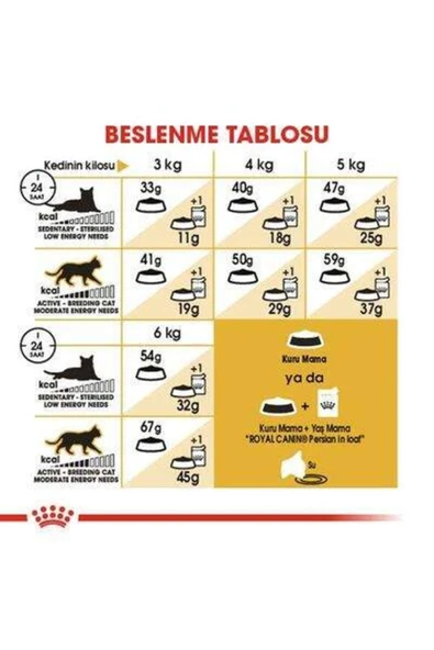 Royal Canin Persian Adult Yetişkin Iran Kedisi Maması 2 Kg - Resim 7