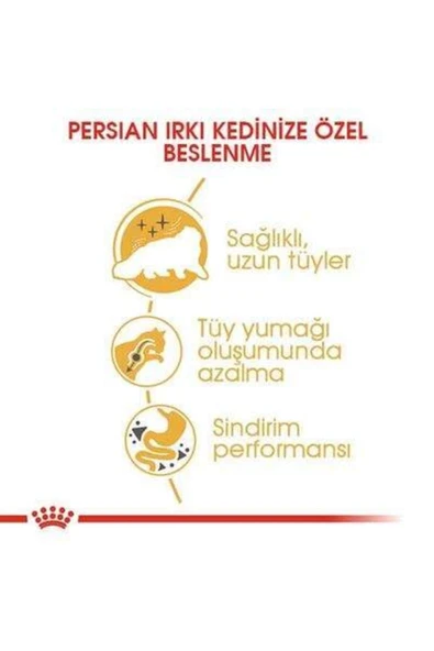 Royal Canin Persian Adult Yetişkin Iran Kedisi Maması 2 Kg - Resim 5
