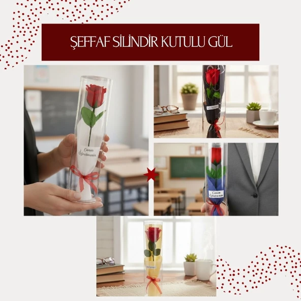 Şeffaf Silindir Kutulu Gül - Öğretmenler Günü Hediyesi - Resim 2