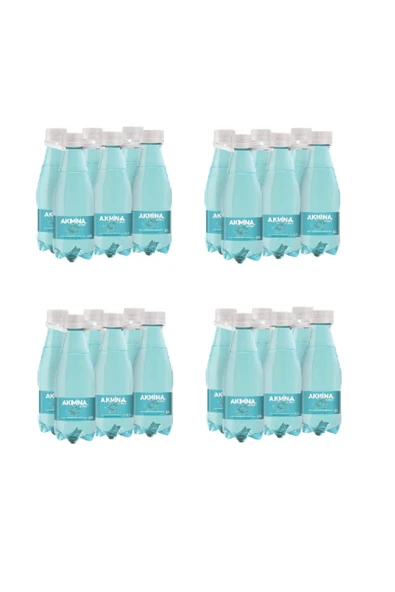 Akmina AKMİNA MADEN SUYU SADE 250 CC 6*4 24 AD - Resim 2