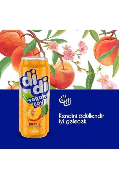 Çaykur Didi Hepsibir Paketi Bergamot + Limon + Şeftali Soğuk Çay 330 Ml X 18 Adet - Resim 7