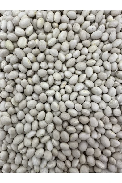 ORGANİK YAYLA ÇİFTLİĞİ Gümüşhane Kelkit Beyaz Fasülye 1000 Gr ürün görseli