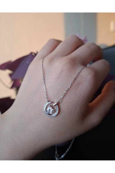 925 Ayar Gümüş Kalpli Zirkon Taş Model Genç/Yetişkin Kadın Kolyesi - Resim 2
