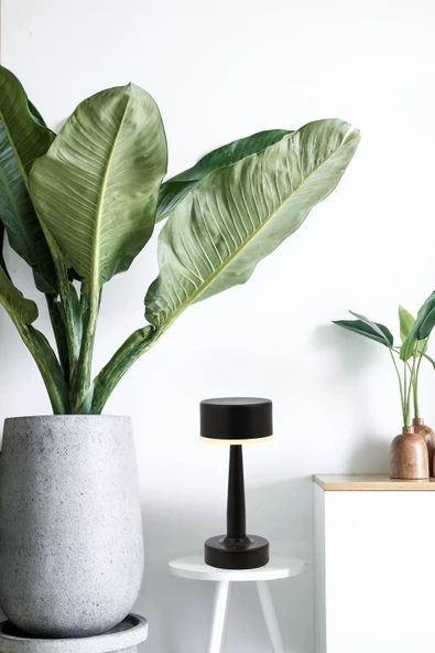 AVONNI ML-64005-BSY Siyah Boyalı Masa Lambası LED Metal Pleksi 11cm - Resim 4