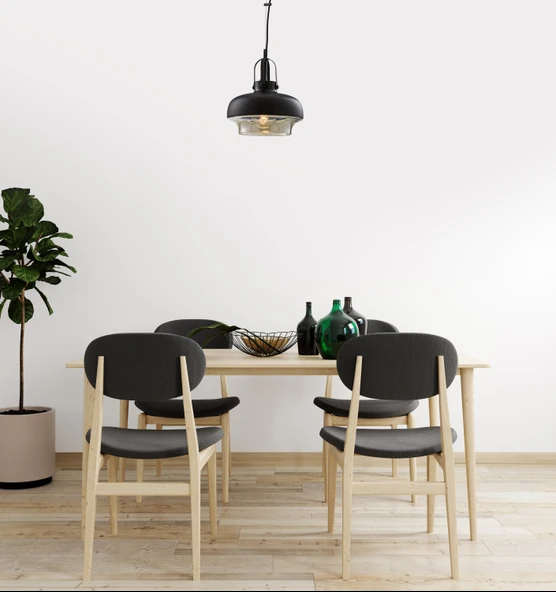 AVONNI AV-5064-1BSY Siyah Boyalı Modern Avize E27 Metal Cam 25cm - Resim 3