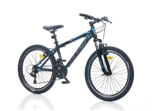 CORELLİ FELİX 3.2 ERKEK DAĞ BİSİKLETİ 305H V 24 JANT 21 VİTES SİYAH MAVİ TURKUAZ ürün görseli