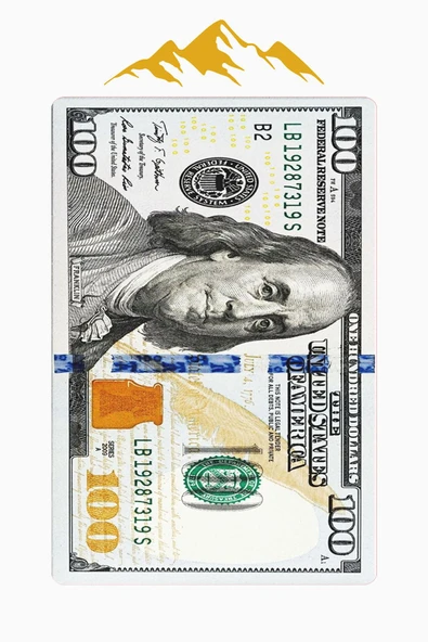 Modern Dolar Desen Dijital Baskı Kaymaz Taban Halı H0167 Renkli 100 X 200 - Resim 3