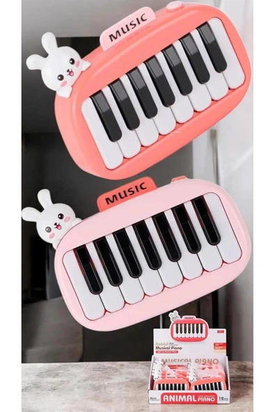 8896-1B KUTUDA 12Lİ PİLLİ PİANO -CN ürün görseli
