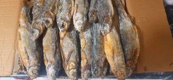 TUZDA KURUTULMUŞ VAN BALIĞI - Resim 2