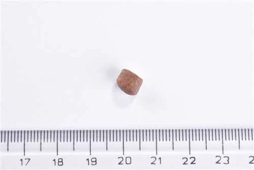 Brit Care Yavru Kediler İçin, Tahılsız, Hipoalerjenik, Taze Somonlu Kuru Mama 2 kg ürün görseli