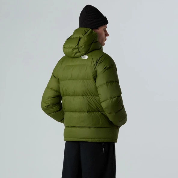 The North Face Erkek Hydrenalıte Kaztüyü Hoodıe Ceket NF0A5GIEBRI1 - Resim 6