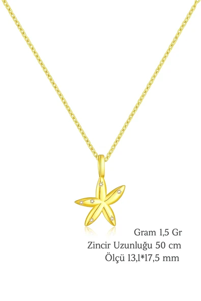 SeaStar Işıltılı Yıldız Minimal Kadın Gümüş Kolye - Resim 4