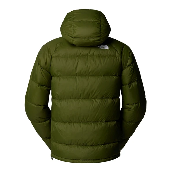 The North Face Erkek Hydrenalıte Kaztüyü Hoodıe Ceket NF0A5GIEBRI1 - Resim 3