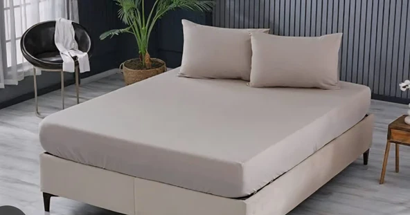 Altınbaşak Ranforce Tek Kişilik 120X200cm Çarşaf Takımı %100 Pamuk Bej ürün görseli 1