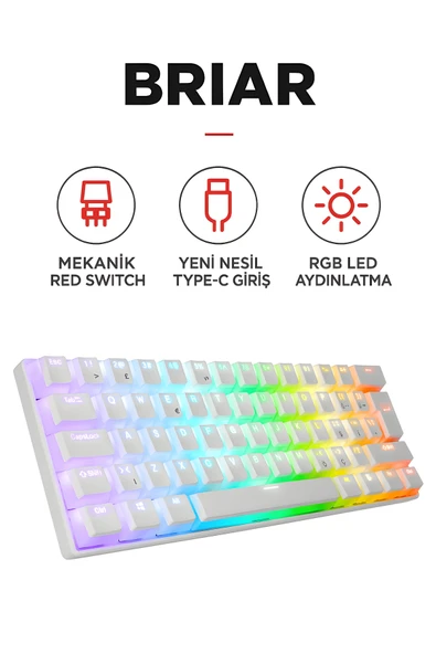 Everest Brıar Type-C Bağlantılı RGB Puding Tuşlu Mekanik Red Switch Türkçe Q Gaming Oyuncu Klavyesi Beyaz ürün görseli 1
