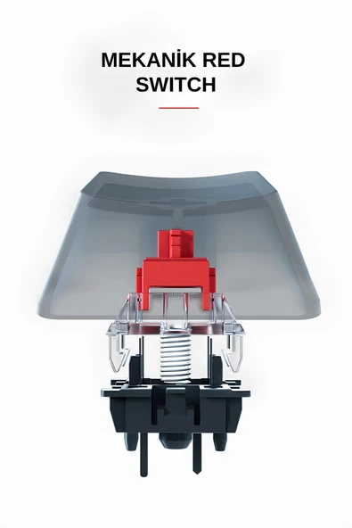 Everest Brıar Type-C Bağlantılı RGB Puding Tuşlu Mekanik Red Switch Türkçe Q Gaming Oyuncu Klavyesi Beyaz - Resim 4