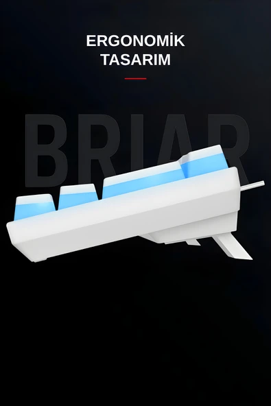 Everest Brıar Type-C Bağlantılı RGB Puding Tuşlu Mekanik Red Switch Türkçe Q Gaming Oyuncu Klavyesi Beyaz - Resim 5