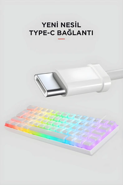 Everest Brıar Type-C Bağlantılı RGB Puding Tuşlu Mekanik Red Switch Türkçe Q Gaming Oyuncu Klavyesi Beyaz - Resim 2