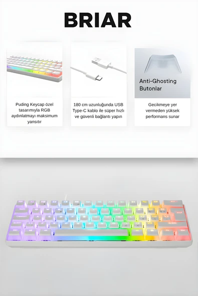 Everest Brıar Type-C Bağlantılı RGB Puding Tuşlu Mekanik Red Switch Türkçe Q Gaming Oyuncu Klavyesi Beyaz - Resim 3