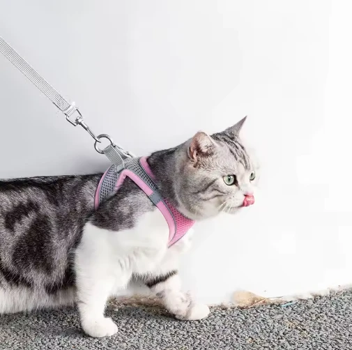 Mucit Home Kedi Yürüyüş Tasma Seti Ayarlanabilir köpek kedi tasması Fransız Bulldog Yürüyüş Yelek - Resim 3