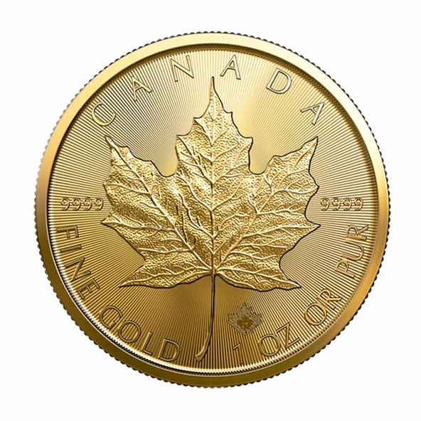 AgaKulche 1 Ons Maple Leaf Altın Sikke Coin ürün görseli 1