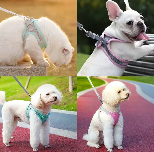 Mucit Home Kedi Yürüyüş Tasma Seti Ayarlanabilir köpek kedi tasması Fransız Bulldog Yürüyüş Yelek ürün görseli