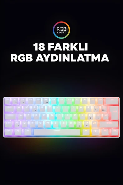 Everest Brıar Type-C Bağlantılı RGB Puding Tuşlu Mekanik Red Switch Türkçe Q Gaming Oyuncu Klavyesi Beyaz - Resim 6