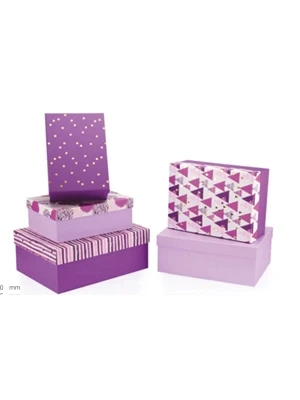 Gıpta Viola Dikdörtgen Hediye Kutusu No:4.5 Bx07070 ürün görseli 1