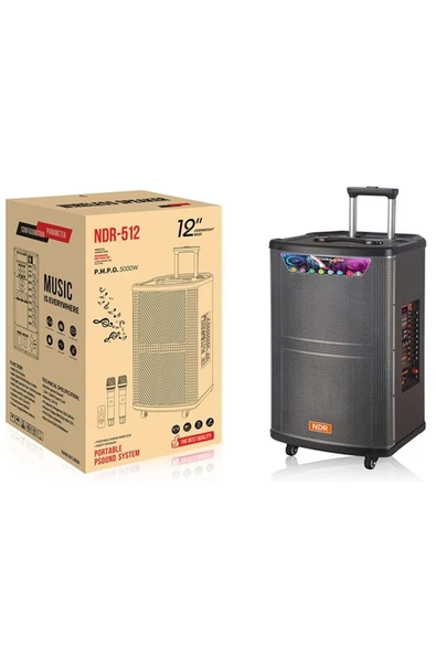 Ndr512 Bluetooth Speaker 350*350*620Mm Siyah - Resim 2