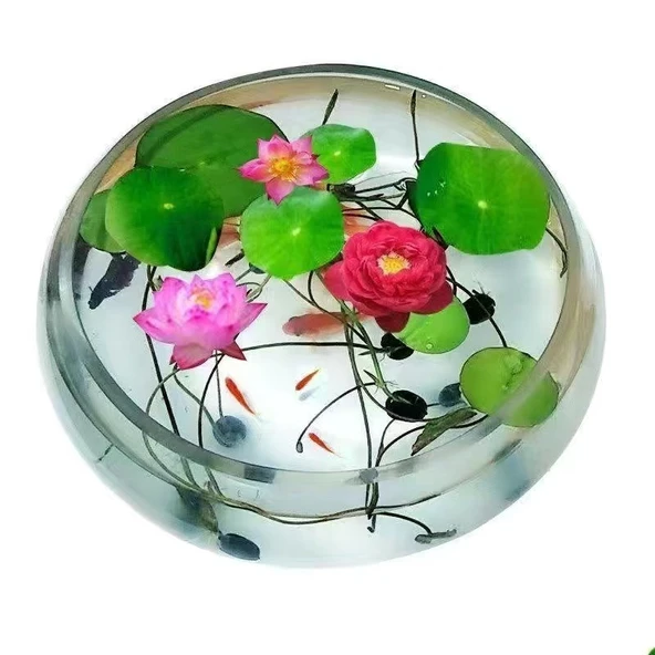 5 Adet Tohum Nadir Bulunan Karışık Tayland Lotus Çiçeği Tohumu Sınırlı Stok ürün görseli 1