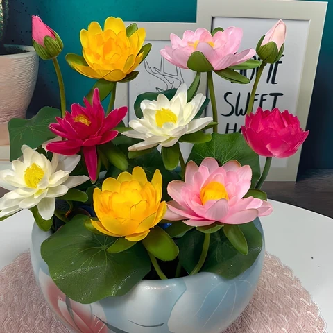 5 Adet Tohum Nadir Bulunan Karışık Tayland Lotus Çiçeği Tohumu Sınırlı Stok - Resim 4