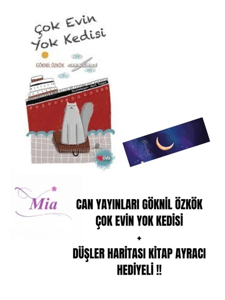 CAN YAYINLARI GÖKNİL ÖZKÖK ÇOK EVİN YOK KEDİSİ ürün görseli
