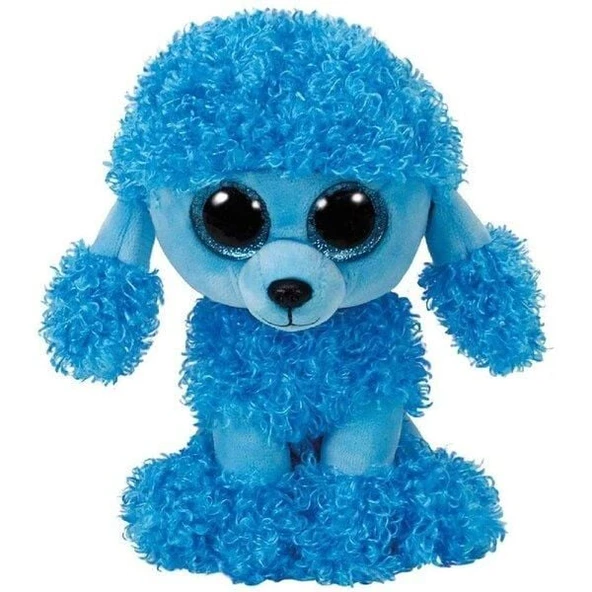 MANDY  BLUE POODLE REG - Resim 2