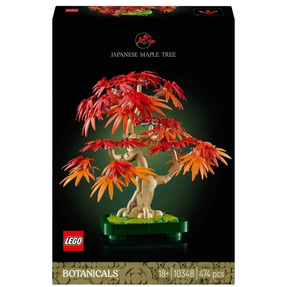 Botanicals Japon Kırmızı Akçaağaç Bonsai Ağacı 10348 - Resim 3