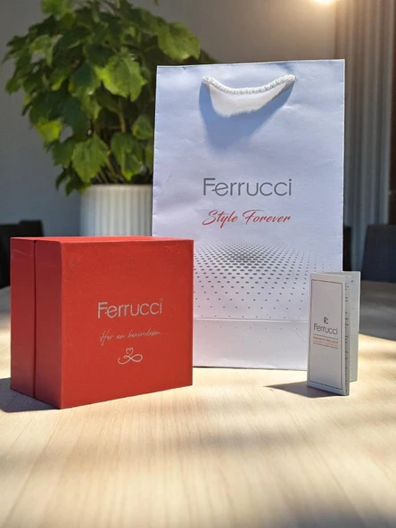 Ferrucci Otomatik Ve Kurmalı Güneş Ve Mehtap Kadranlı Çelik Kordonlu Erkek Kol Saati BFC.03606.5 - Resim 7