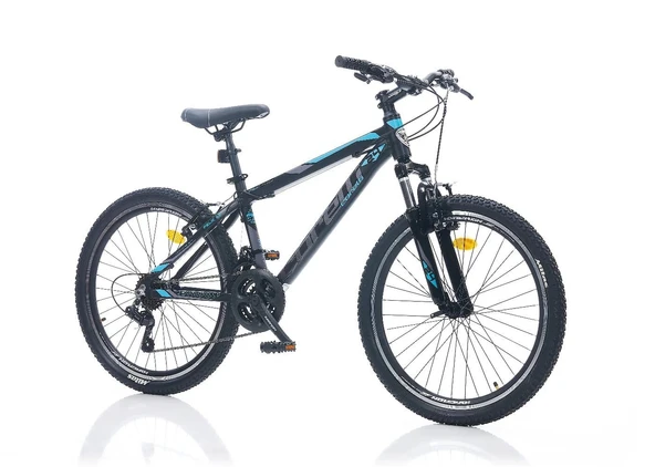 CORELLİ FELİX 3.2 ERKEK DAĞ BİSİKLETİ 305H V 24 JANT 21 VİTES SİYAH MAVİ TURKUAZ ürün görseli