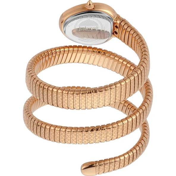 Just Cavalli JC1L163M0035 Kadın Kol Saati - Resim 2